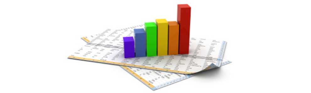 Company Statistics
